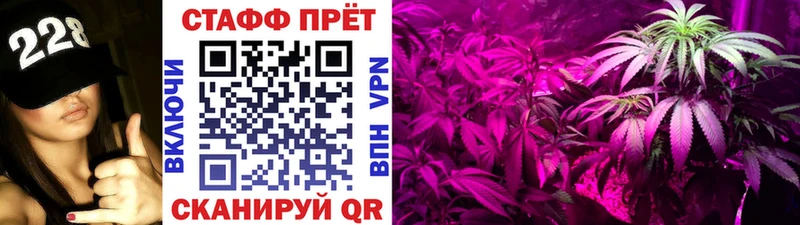 Магазины продажи наркотиков Выборг Cocaine  A PVP  Меф  ГАШ  Канабис 
