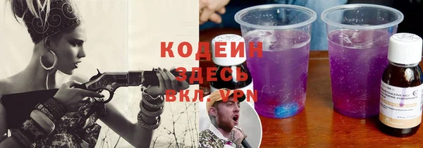 дживик Бронницы