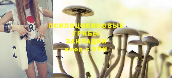 mdpv Бугульма