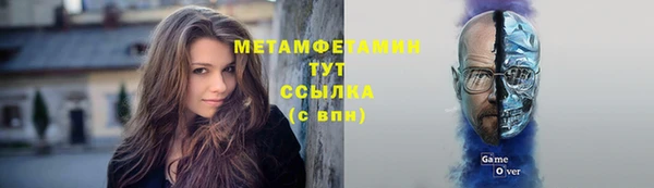 дживик Бронницы