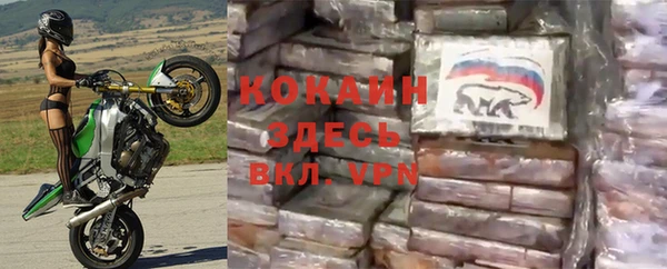 дживик Бронницы